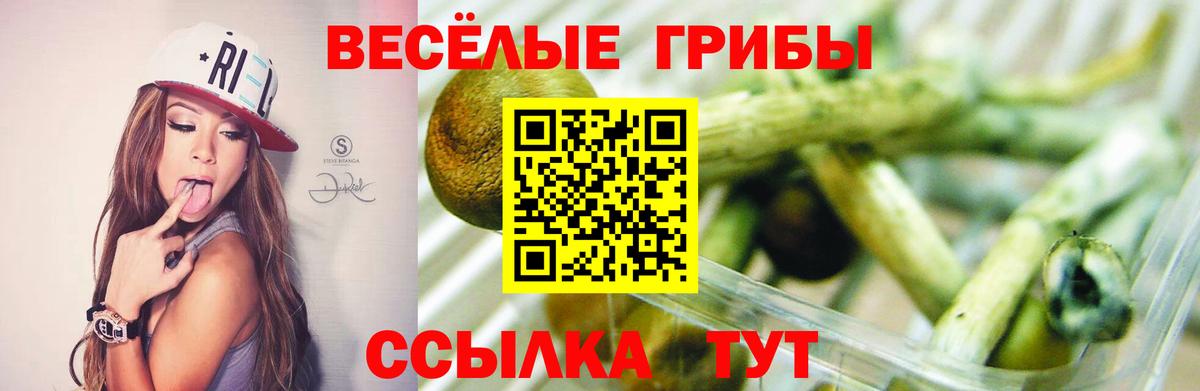 Псилоцибиновые грибы MAGIC MUSHROOMS  где купить наркотик  Мирный  Вход с VPN 